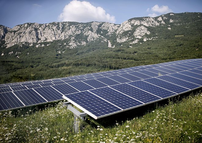 Naložba v sončno elektrarno se povrne v šestih do sedmih letih. FOTO: Blaž Samec/Delo