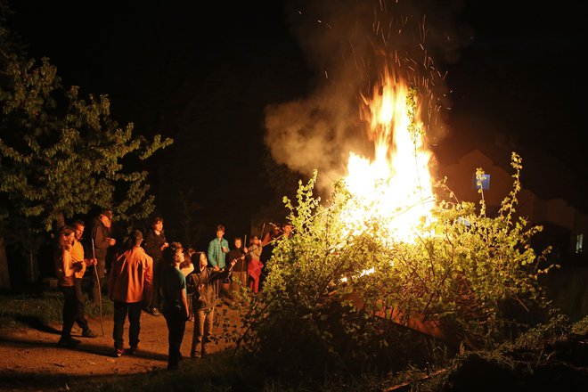 Priporočljivo je kuriti suhi les. FOTO: Tomi Lombar/delo