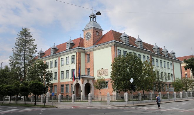 Na ministrstvu za zunanje in evropske zadeve opozarjajo Italijo na kršitev pravic slovenske manjšine in nespoštovanje zaščitne zakonodaje. FOTO: Jože Suhadolnik/Delo