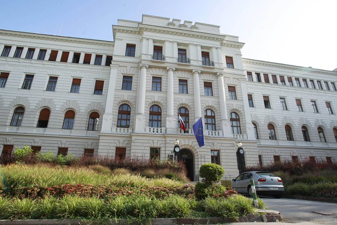 Tožbo na ljubljanskem okrožnem sodišču je izgubil in že napovedal pritožbo. FOTO: Leon Vidic/Delo