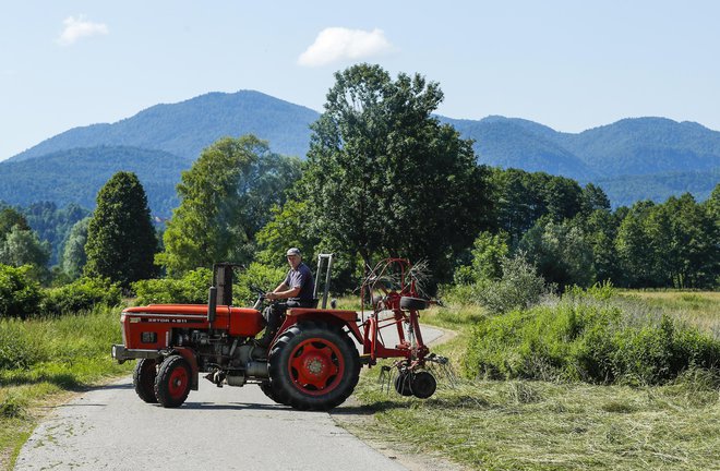 Na Ljubljanskem barju so se v zadnjih dveh stoletjih zgodile obsežne spremembe rabe tal. FOTO: Matej Družnik/Delo