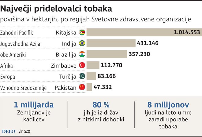 Največji pridelovalci tobaka. INFOGRAFIKA:  Delo