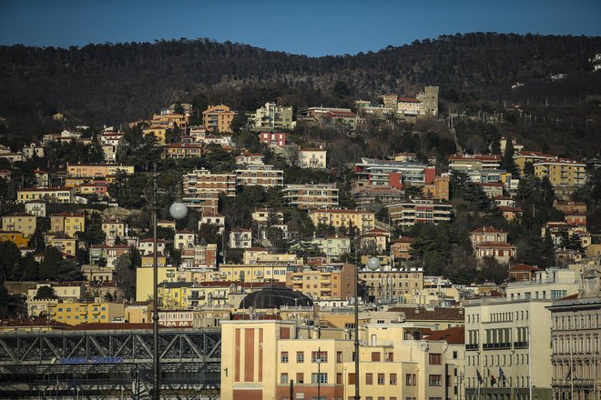 V Trstu so cenejši špageti, kava, riž, čokolada, sadje, še slovensko pivo in radenska. FOTO: Jože Suhadolnik/Delo