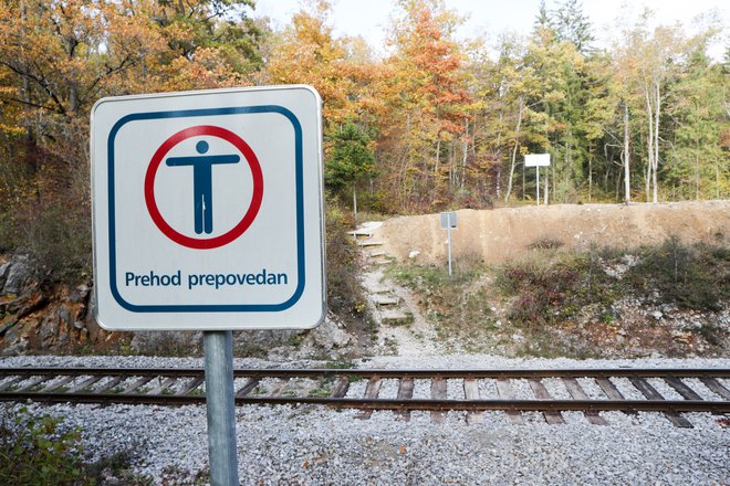 Petnajstletni državljan Afganistana z urejenim statusom v Sloveniji je hodil po tirih od Postojne proti Prestranku. FOTO: Marko Feist/Slovenske novice