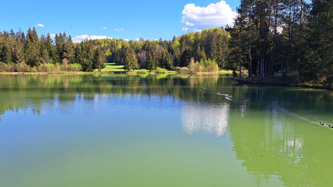 Bloško jezero je umetno, leži pa na nadmorski višini 748 metrov. FOTO: Mitja Felc