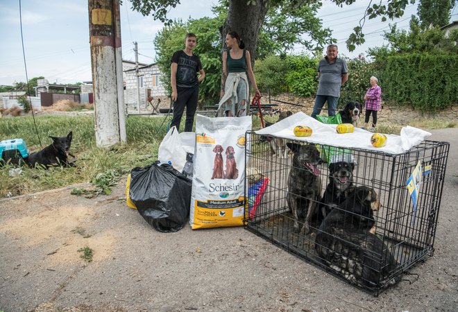 Prebivalci in psi so bili evakuirani s poplavljenih območij. FOTO: Vladyslav Musiienko/Stringer Reuters