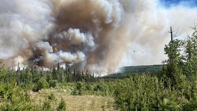 Zaradi požarov v Kanadi so evakuirali več kot 15.000 ljudi. FOTO: AFP