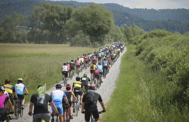 Barjanka je letos na 72 kilometrov dolgo traso po Ljubljanskem barju privabila rekordnih 487 kolesark in kolesarjev. FOTO: Jože Suhadolnik