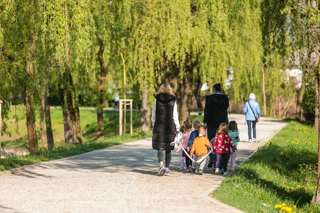 V Skupnosti vrtcev Slovenije združevanju vrtcev, ne le ljubljanskih, niso naklonjeni. FOTO: Črt Piksi