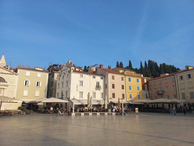 V prvem nadstropju Baročne hiše na Tartinijevem trgu 10 (bela stavba) je doma Morigenosov Center o delfinih.