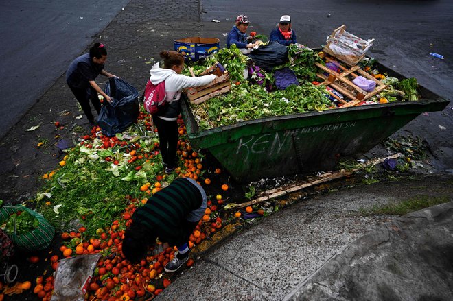 Liz Benitez in Gladys Mesa iz velikih zabojnikov na osrednji tržnici v Buenos Airesu vlečeta kilograme sadja in zelenjave. Sosedi z obrobja Buenos Airesa sta zadnji dve leti z vlakom in avtobusom vsak teden prepotovali 20 km z nakupovalnim vozičkom in vsaka z dvema vrečkama. To je naporno opravilo, vendar je to edini način, da preživita v državi s pošastno inflacijo, ki se je v zadnjih 12 mesecih povečala za 114 %. Argentina ima eno najvišjih stopenj inflacije na svetu, hrana pa je ena od postavk z najvišjo rastjo, in sicer 117 % od junija 2022 do maja 2023. Foto: Luis Robayo/Afp