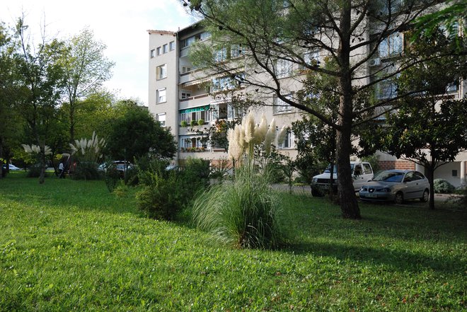 Ravnikarjevi bloki so v Novi Gorici še danes sinonim za kakovostno in udobno bivanje. FOTO: Arhiv Društva primorskih arhitektov