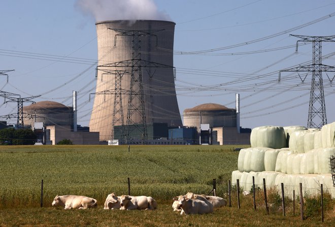 Francoska jedrska elektrarna v kraju Cattenom leži na tromeji med Francijo, Nemčijo in Luksemburgom. FOTO: Yves Herman/Reuters