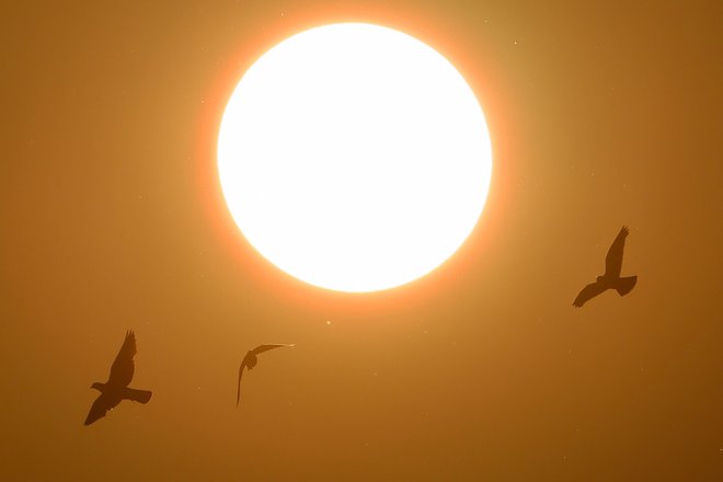 Razumevanje podira meje in čim začnemo na vse okoli sebe gledati s temi očmi, postanemo jonathani, ki iščejo smisel letenja in ki jih ne zadovolji prazna koristnost. FOTO: David Gannon/AFP