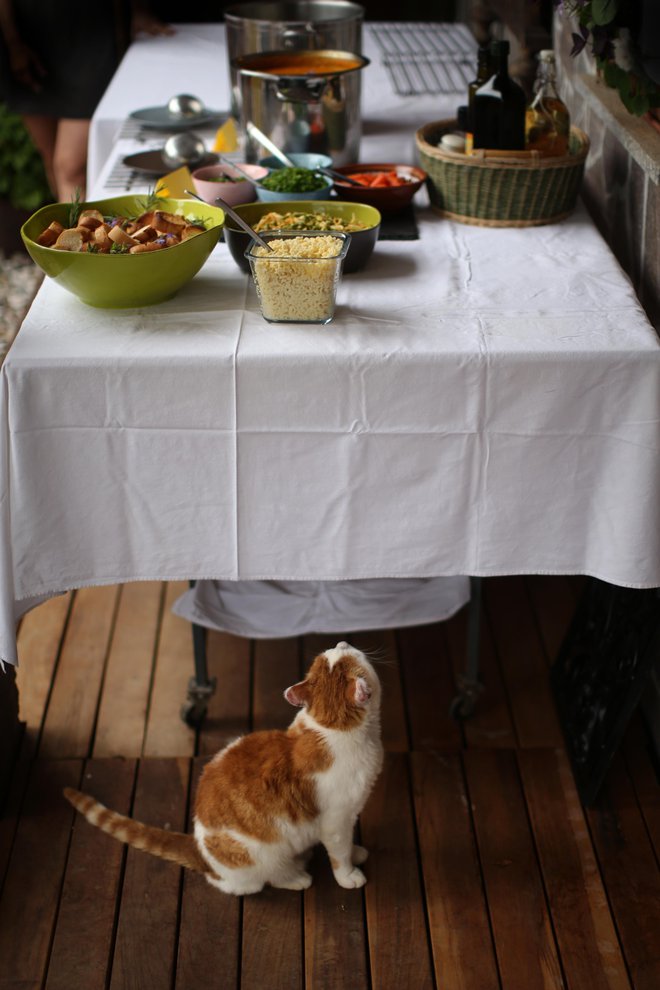 Sedeli smo za mizo, prepolno dobrot, s kozarci, polnimi dobrega vina. FOTO: Jure Eržen/Delo