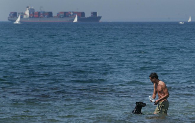 Na urejenih plažah slovenske Obale psi največkrat niso dobrodošli. FOTO: Ljubo Vukelič