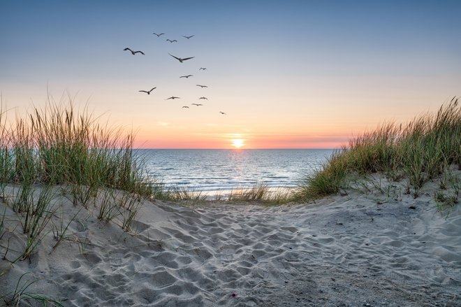 Peščene sipine so naravna obrambna linija pred poplavami in obalno erozijo. FOTO: Shutterstock

 