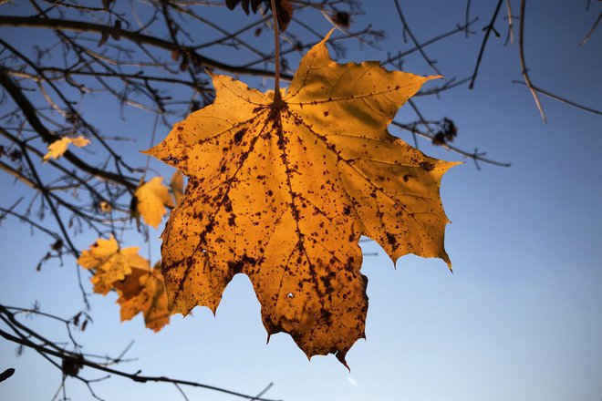 Da bi bolje razumeli, ali potrebujemo tak zakon, kakšen naj bo in kdaj bodo razmere primerne za sprejetje zakona, je izjemno pomembno, da predlog zakona natančno preberemo. FOTO: Jure Eržen