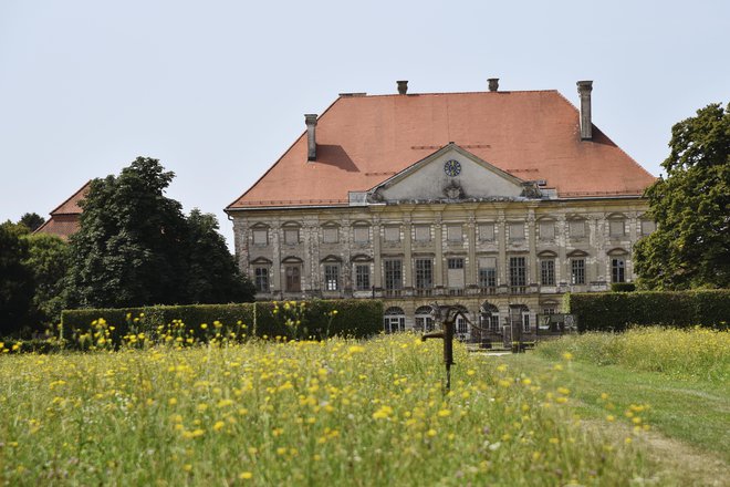 Obnova dvorca Dornava se zamika v nedoločeno prihodnost. FOTO: Peter Rak