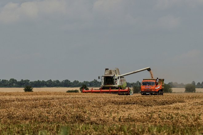 Ukrajinska proizvodnja žita je sicer od začetka vojne padla za skoraj 40 odstotkov. FOTO: Stringer/Reuters