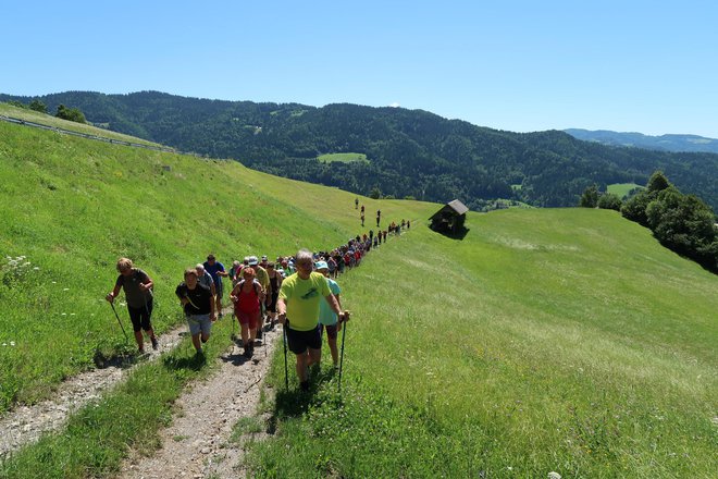 Po poti, kjer sta šla Meta in Janez k maši na Goro. FOTO: Ida Štibelj