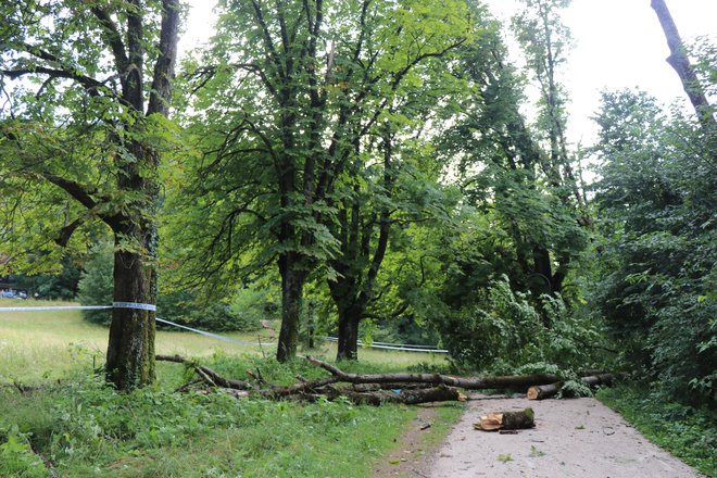 Prizorišče tragične nesreče na Bledu. FOTO: Policijska uprava Kranj