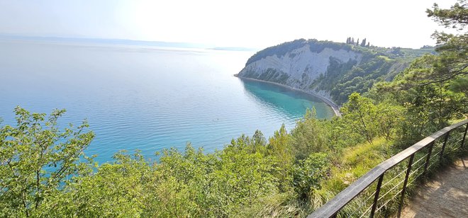 Značilna podoba najlepšega slovenskega zaliva pod strunjanskim klifom FOTO: Boris Šuligoj