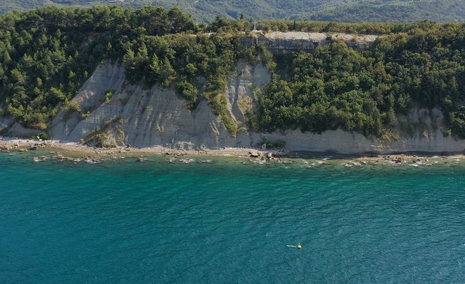 Strunjanski klif nad Mesečevim zalivom FOTO: KP Strunjan