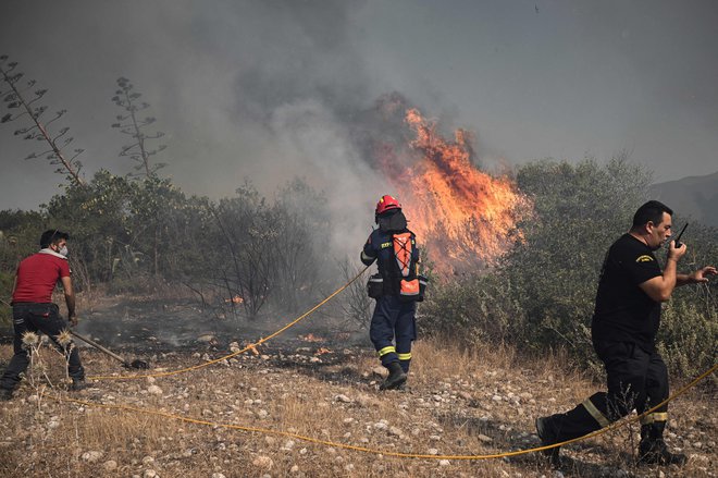 Po prvih ocenah je na Rodosu doslej pogorelo 150 kvadratnih kilometrov gozda. FOTO: Spyros Bakalis/AFP
