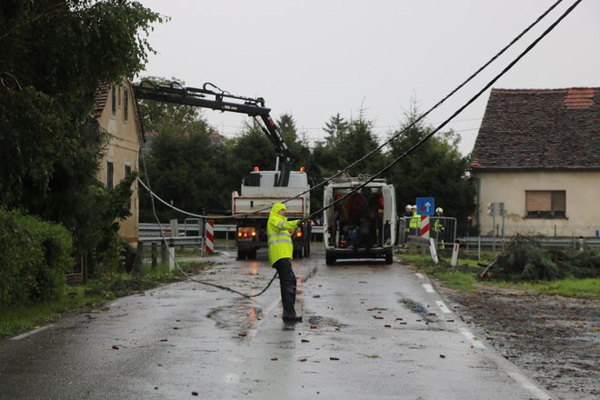 Na Krajni je bila cesta Gederovci–Cankova kar nekaj časa zaprta zaradi drevesa, ki ga je veter podrl čez cesto in ob tem potrgal električne žice. FOTO: Jože Pojbič