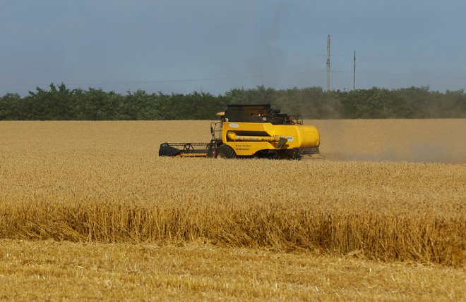 V Sloveniji je vnos gnojil in nanos pesticidov na žito strogo nadzorovan, za ukrajinsko žito pa tega ni mogoče trditi. FOTO: Alexander Ermochenko/Reuters