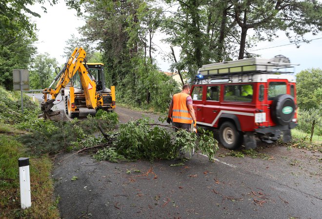 Podrta drevesa ponekod še vedno ogrožajo prometno infrastrukturo in objekte. FOTO: Dejan Javornik/Slovenske novice