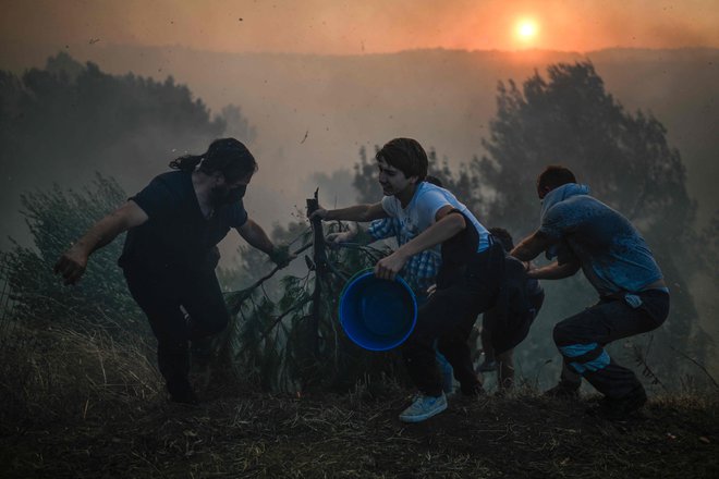 Na Portugalskem gori domala vsako poletje, tudi letos je že. FOTO: Patricia De Melo Moreira/Afp