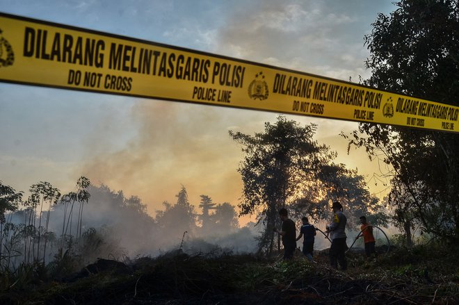 Po zahodu ZDA divjajo gozdni požari. FOTO: Wahyudi/AFP