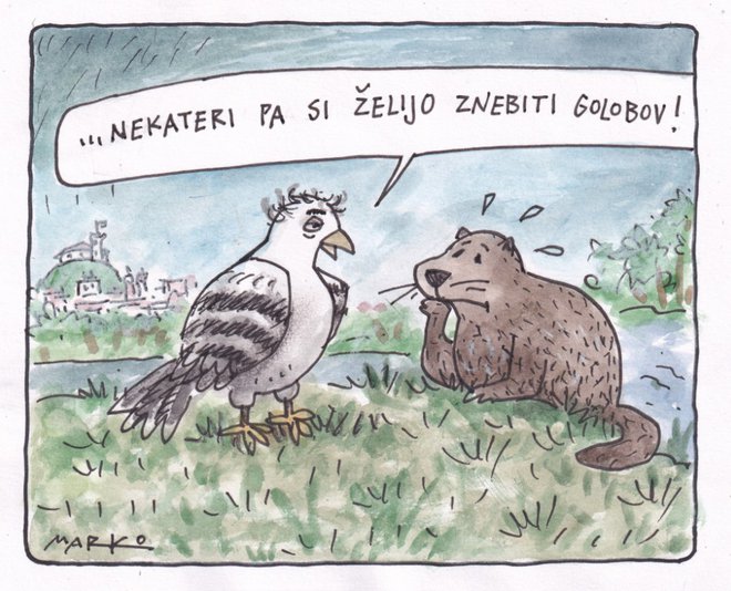 KARIKATURA: Marko Kočevar