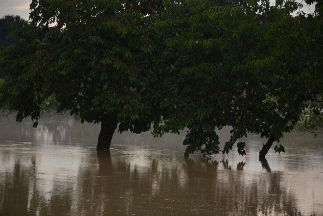 Vremenska fronta bo 36 ur visela nad celotno državo in povzročala dolgotrajne nalive, napovedujejo meteorologi. Fotografija je simbolična. FOTO: Oste Bakal