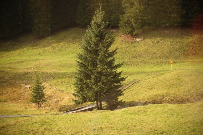 Nevrologi pozdravljamo širšo družbeno razpravo, vendar bi si želeli, da bi predlagatelji prisluhnili tudi opozorilom zdravništva. FOTO: Jure Eržen