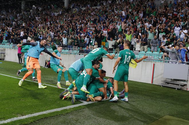 V Stožicah se je igralo po taktih zeleno-belih slovenskih fantov, ki so navdušili tudi navijače. FOTO: Leon Vidic/Delo