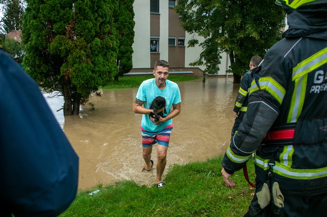 Tudi živali so potrebovale pomoč. FOTO: Voranc Vogel/Delo