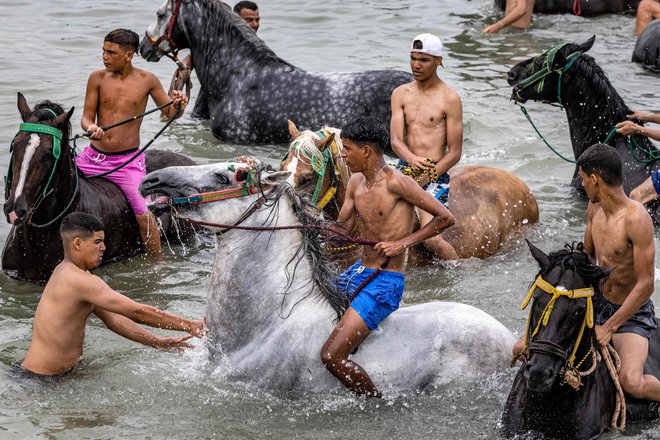 Maroški jezdeci Fantazije (tbourida) jahajo konje v vodah Atlantskega oceana med vsakoletnim festivalom Moussem Moulay Abdellah Amghar v bližini mesta El Jadida. Foto: Fadel Senna/Afp