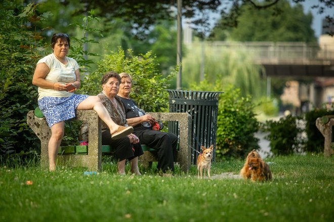 Ljudje se v poplavi informacij ne znajdemo in si velikokrat ne znamo pomagati. FOTO: Voranc Vogel/Delo