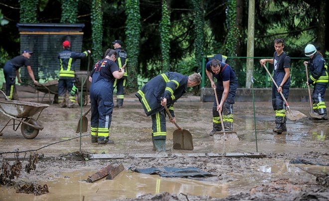 Pospravljeno blato bodo začasno odlagali na degradirana območja, nato pa ga analizirali. FOTO: Blaž Samec/Delo