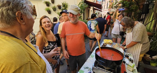 Festival šalše v Ljubljanski ulici Pri špini in Mefu je bil tudi dobrodelen. FOTO: Boris Šuligoj