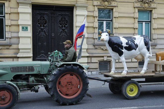 Evropski parlament se je zavzel za izključitev govedorejskih farm iz obveznosti po razširjeni direktivi o industrijskih emisijah in ohranitev dosedanjih pravil za industrijske farme, med katere spadajo tiste, ki imajo več kot 40.000 kokoši oziroma piščancev, 2000 prašičev ali 750 svinj. FOTO: Jože Suhadolnik/Delo