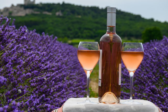Kdo bi si mislil: roseji iz južne Francije uživajo veliko, tako rekoč svetovno slavo. FOTO: Shutterstock