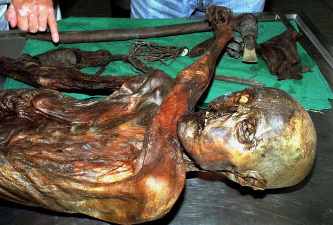 Vse od odkritja Ötzijevega mumificiranega trupla leta 1991 na dan prihajajo vedno nove podrobnosti iz njegovega življenja, predvsem v regiji pa je postal svojevrsten zvezdnik. FOTO: Reuters