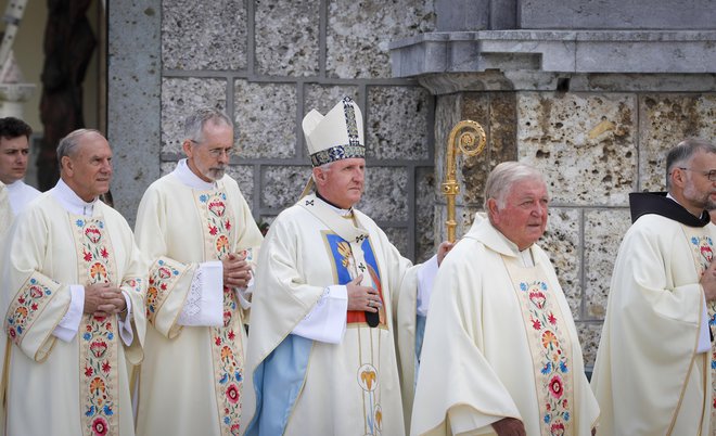 Vse kaže, da se slovenska veja rimske Cerkve ne more sprijazniti z ekumenizmom, ki ga zastopa tudi papež Frančišek. FOTO: Matej DruŽnik