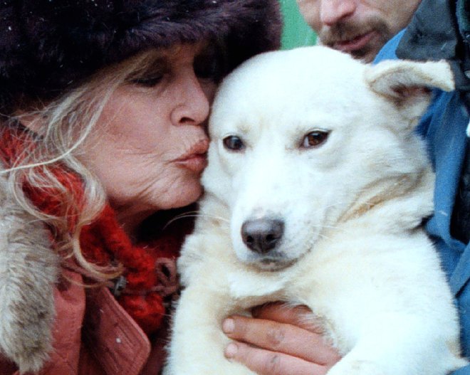 Ko se je Brigitte Bardot umaknila iz filmskega sveta, je postala velika in glasna zaščitnica živali. FOTO:  Reuters