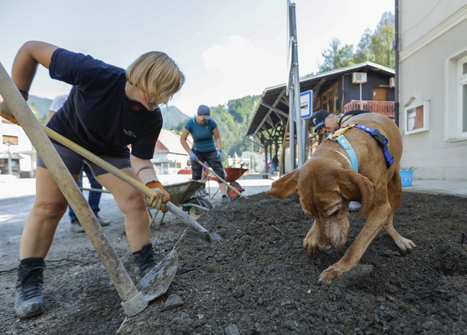 Pomagal je tudi usposobljen reševalec. Ljudi seveda ni našel, le njihova oblačila. FOTO: Jože Suhadolnik/Delo