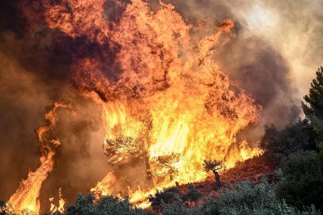 Grčija se to poletje znova sooča s številnimi hudimi požari v naravi. FOTO: Spyros Bakalis/AFP